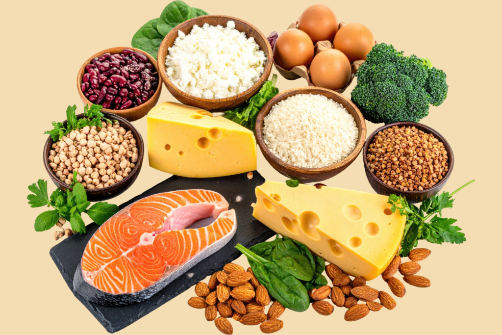 Dieta rica em proteínas Dieta rica em proteínas