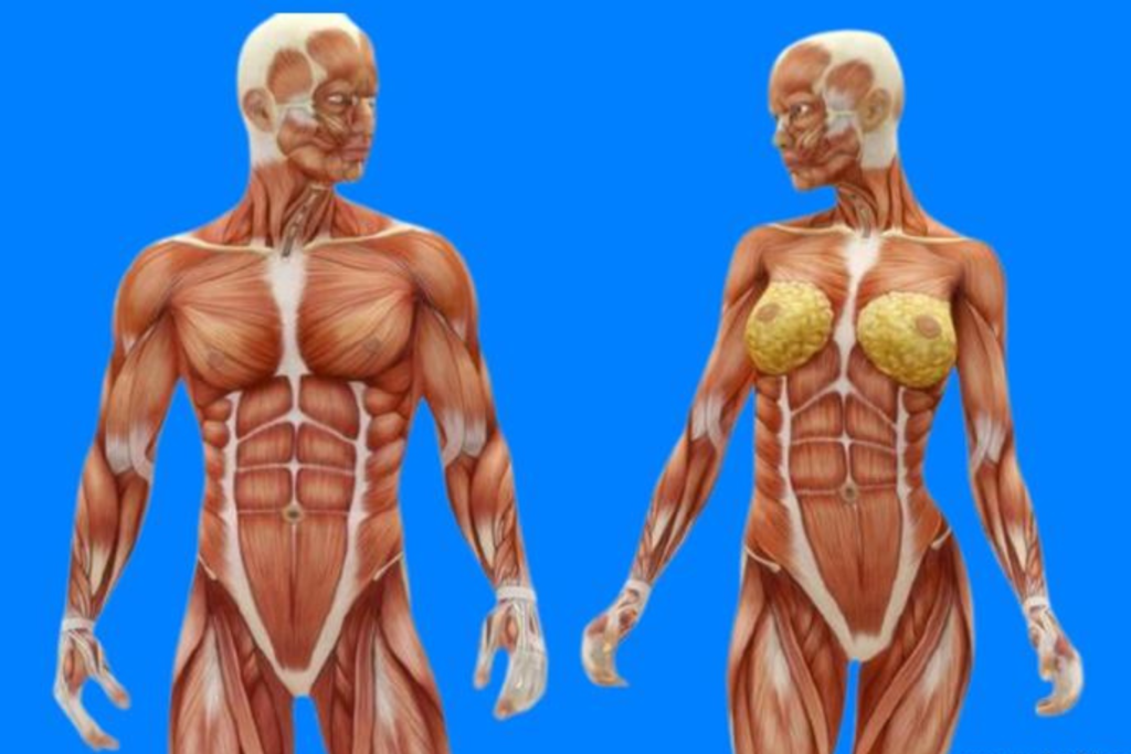 Exercícios para perder gordura viscera