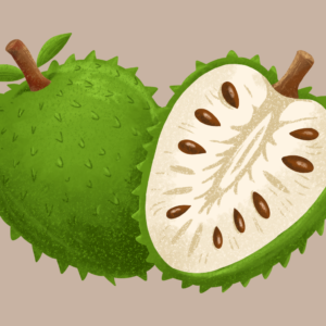 Benefícios da graviola: uma fruta incrível para sua saúde